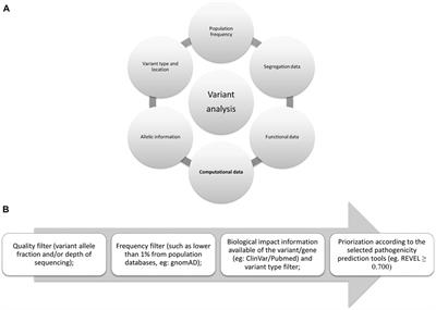 Insights on variant analysis in silico tools for pathogenicity prediction